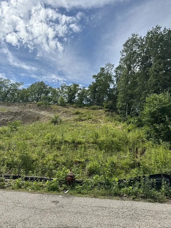 Photo of 33 Walsh Ave