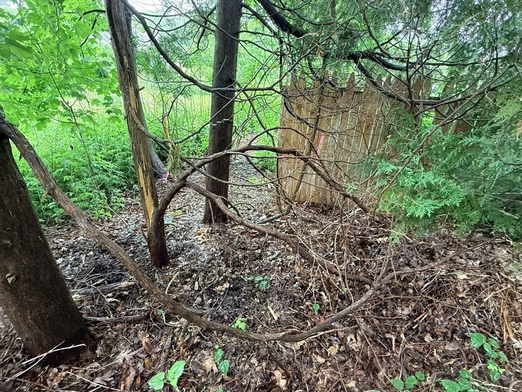 Photo of 0 Stoughton Ave