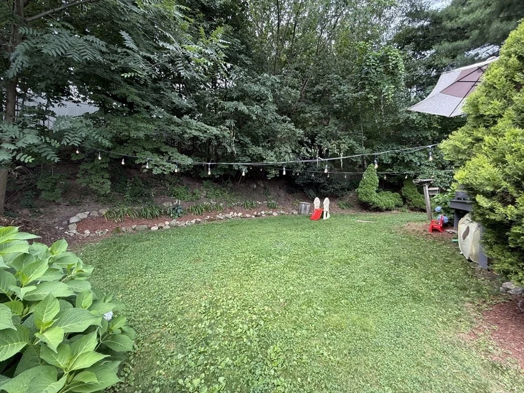 Photo of 74 Wilkinson St