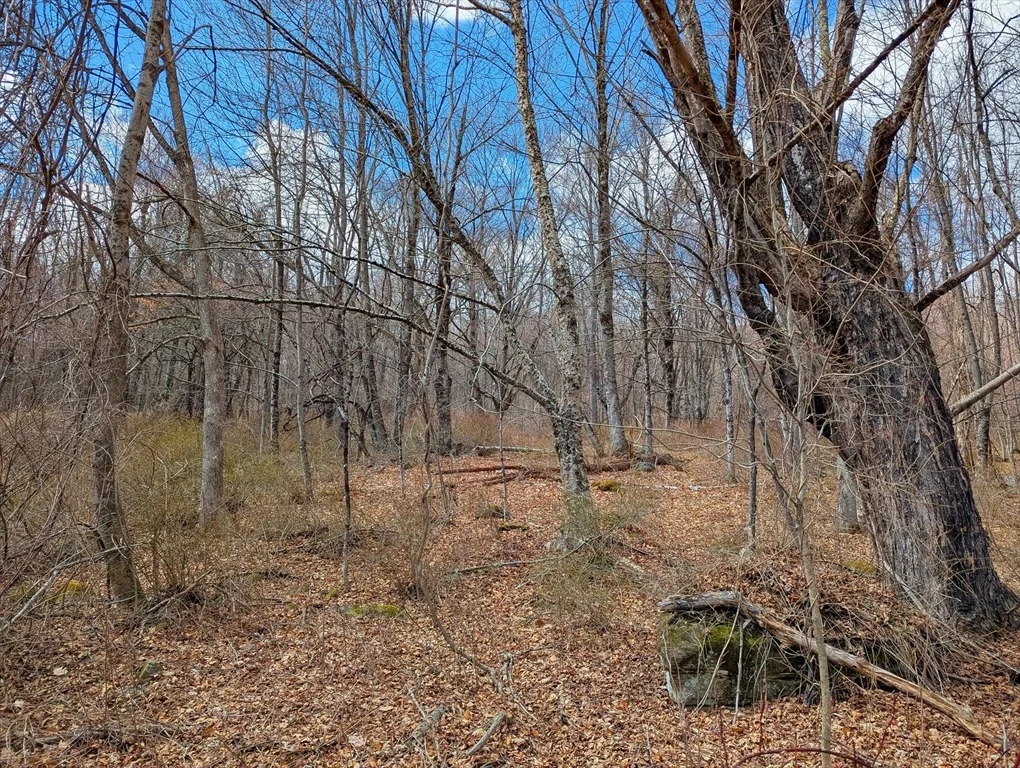 Photo of Lot 33.03 William Holmes Rd