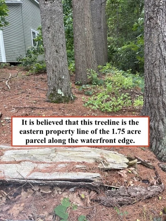 Photo of 16 Davis Street