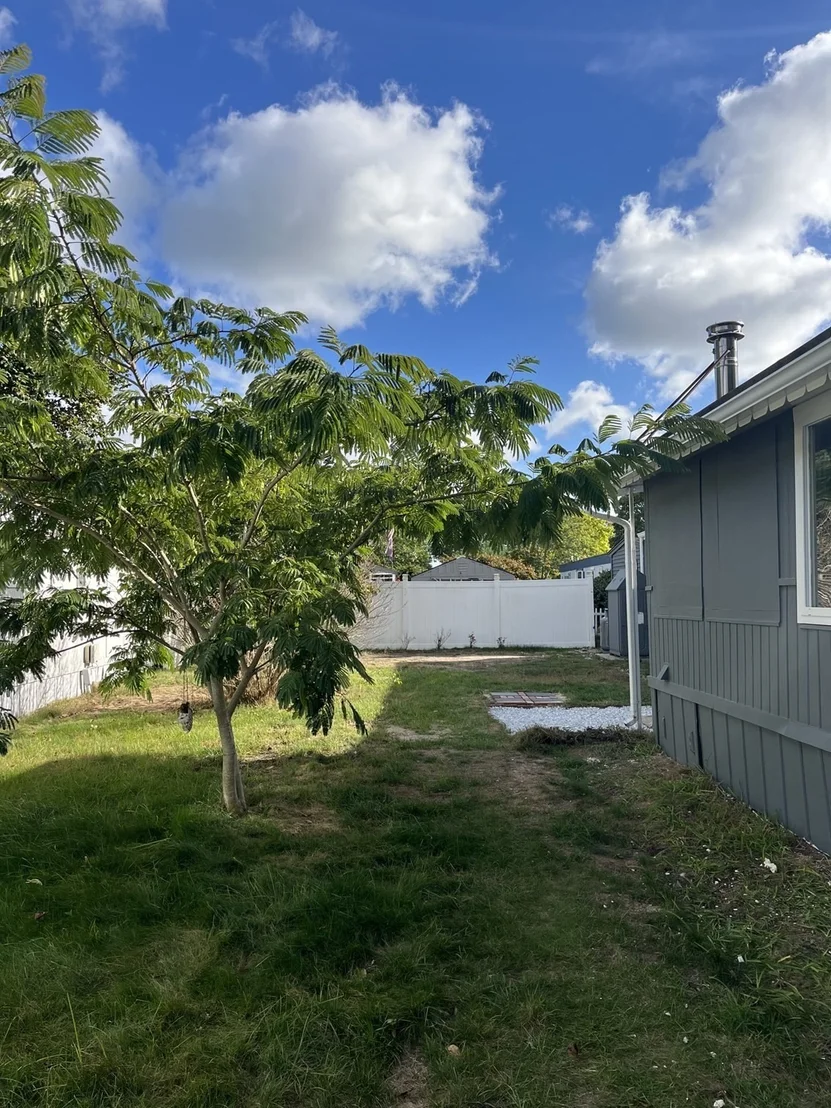 Photo of 25 Roy Street