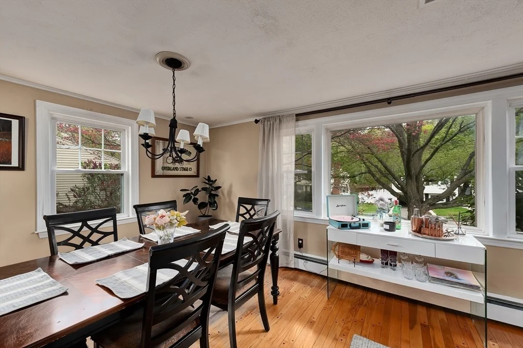 Photo of 15 Palmer Rd