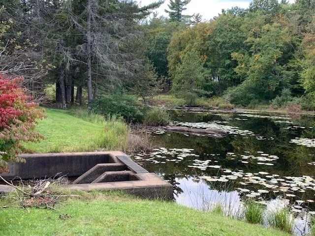 Photo of 27 & 29 Cascade Dr