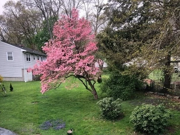 Photo of 2 Simpson Dr