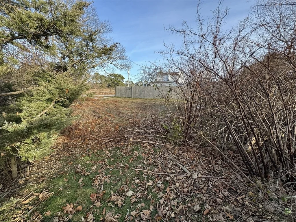 Photo of 48 North Blvd