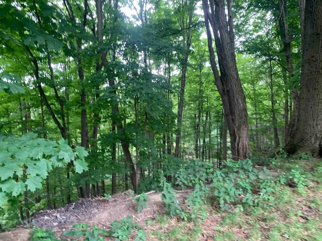 Photo of 0 Chestnut Plain Rd (Ws)