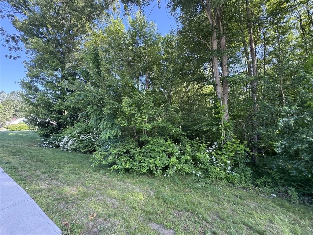 Photo of 36 Lake Parkway