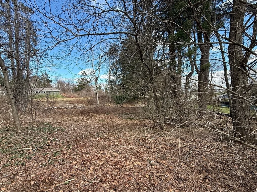 Photo of 11 Walbridge Road