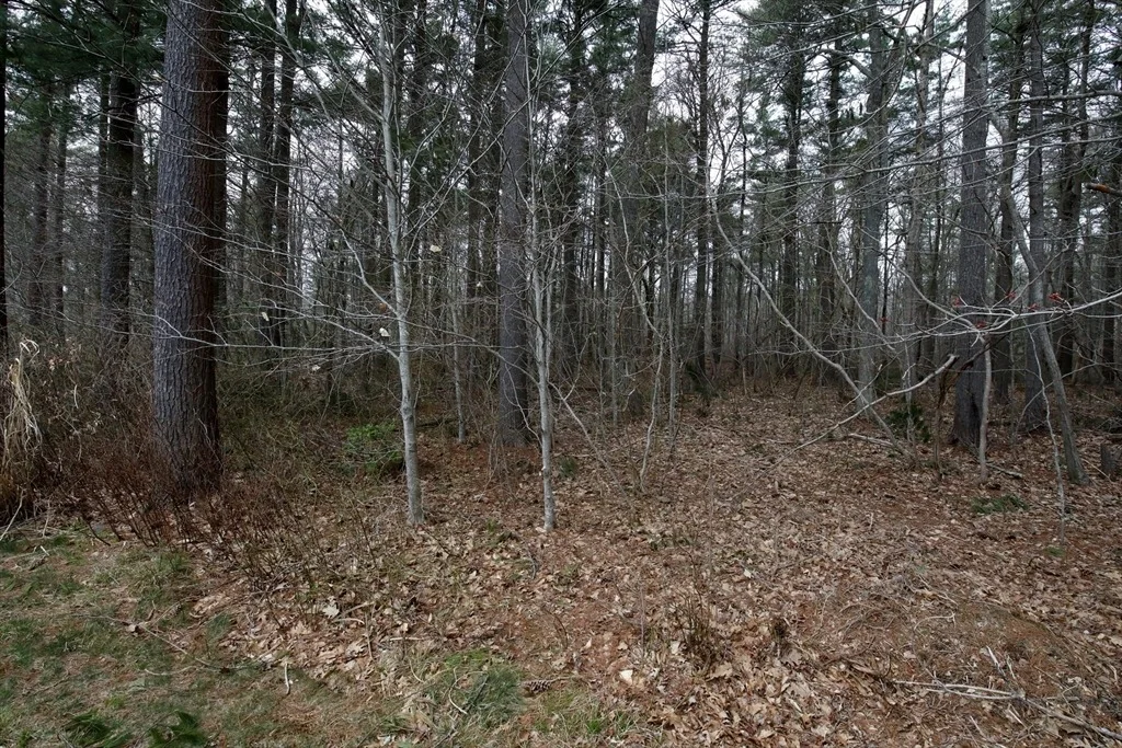 Photo of 1307 Blueberry Circle