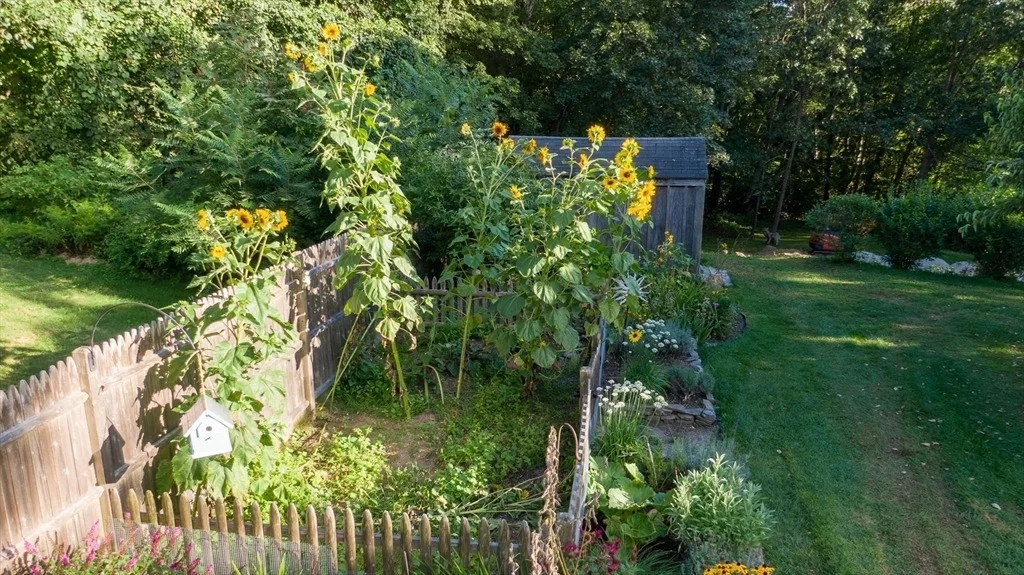 Photo of 298 Torrey Rd