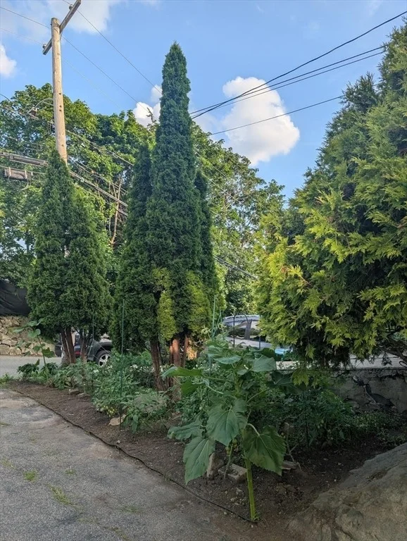 Photo of 18 Windsor Ave