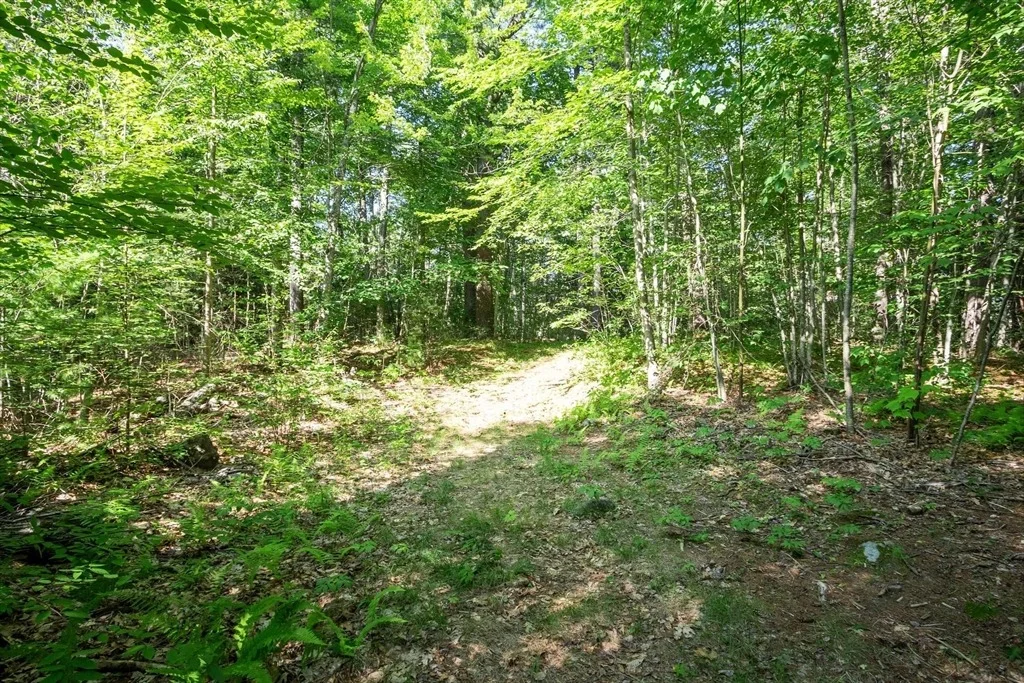 Photo of 0 Ward Hill Rd
