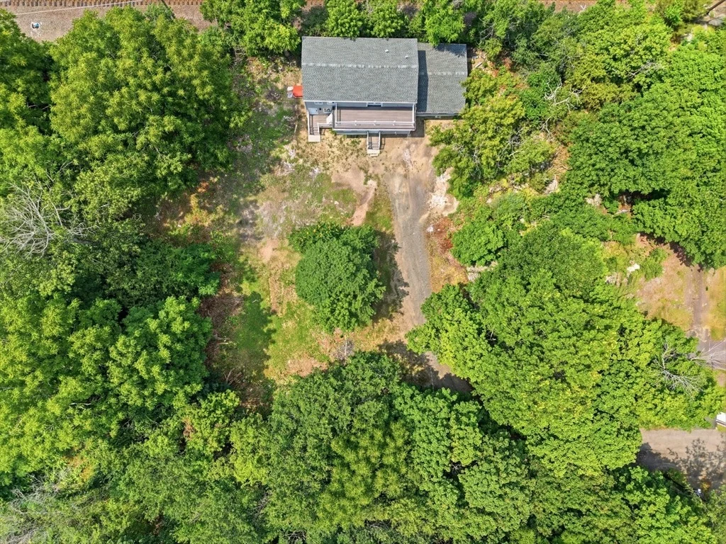 Photo of 26 Parallel St