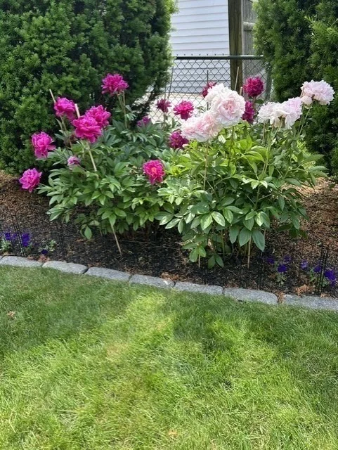 Photo of 55 Memorial Dr