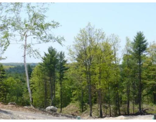 Photo of Lot 13 Jason's Way