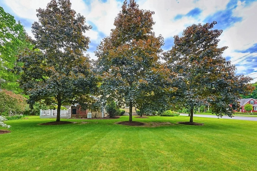 Photo of 310 Sumner St