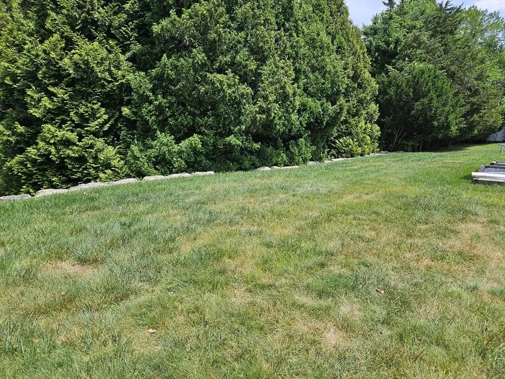 Photo of 461 River Rd