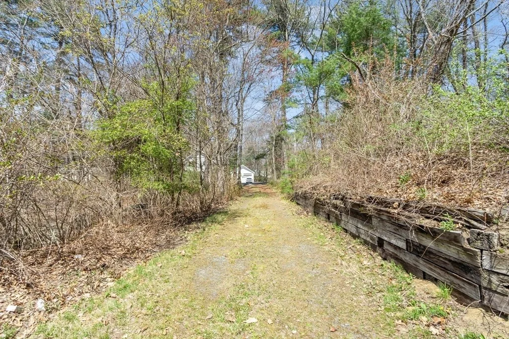 Photo of 16 Thurlow Street