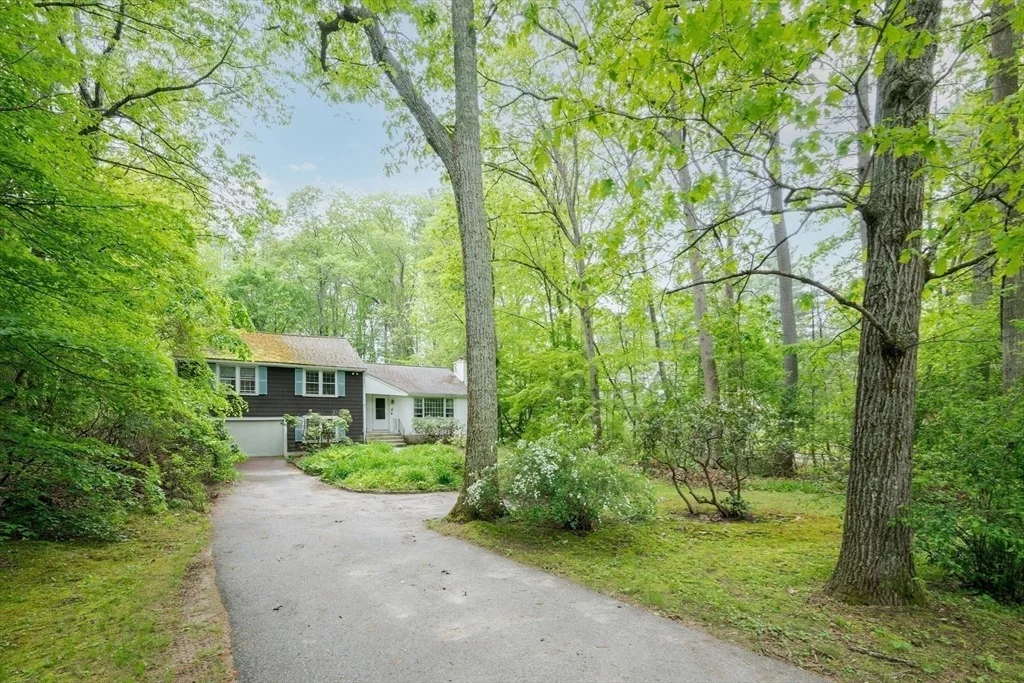 Photo of 151 Park Lane