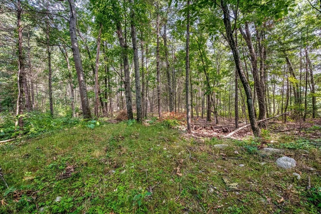 Photo of 85 Lincoln Rd