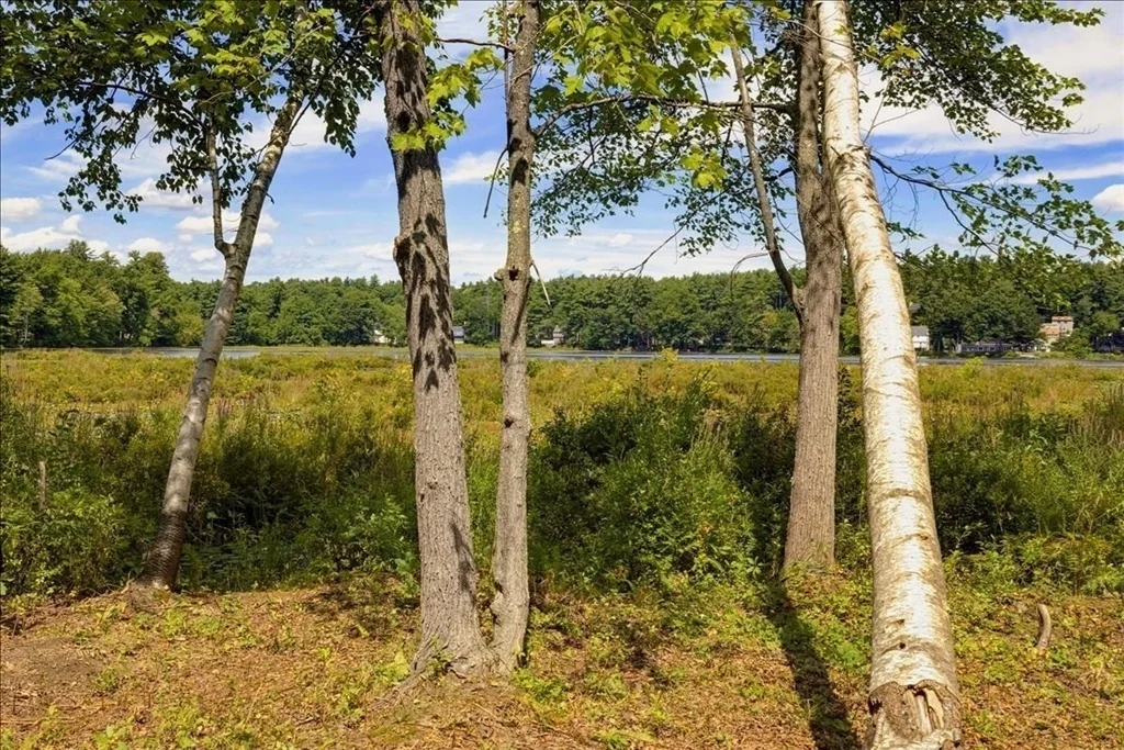 Photo of 52 Sandy Pond Rd