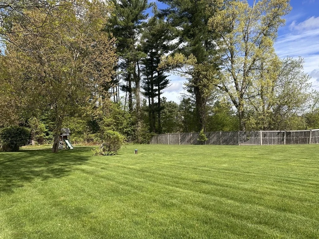 Photo of 245 Forest