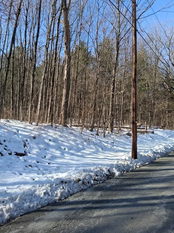 Photo of 17 Maple St
