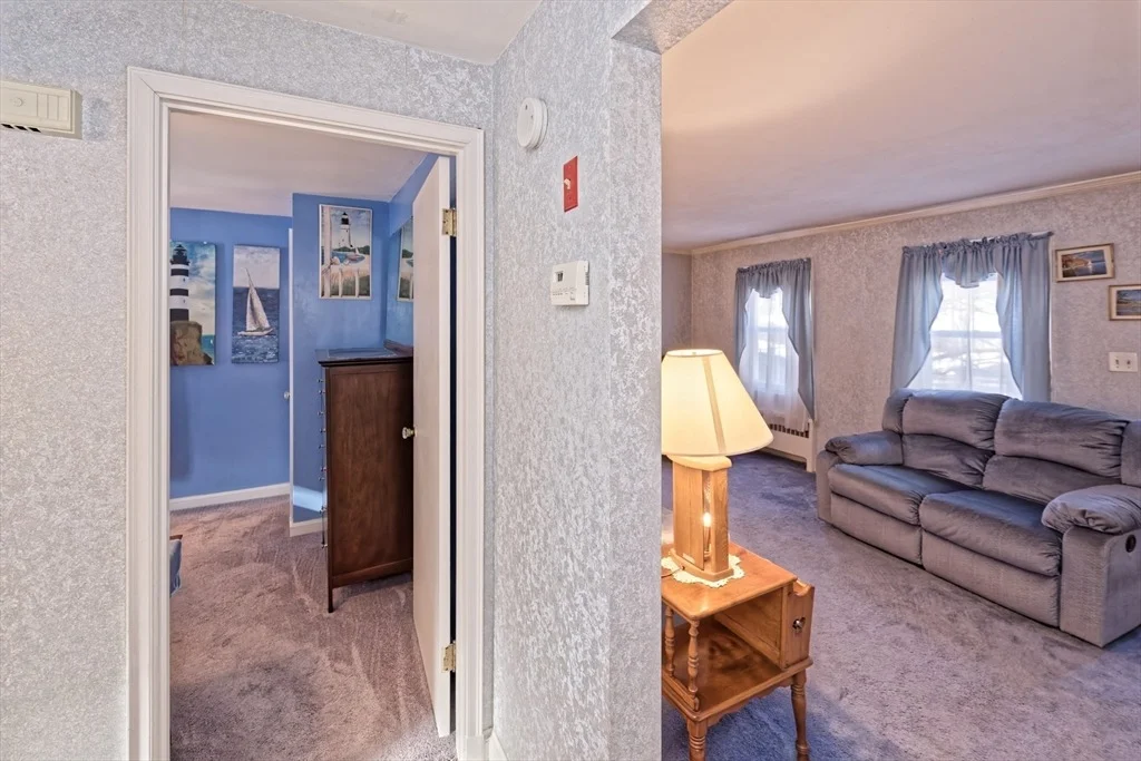 Photo of 17 Blackman Rd
