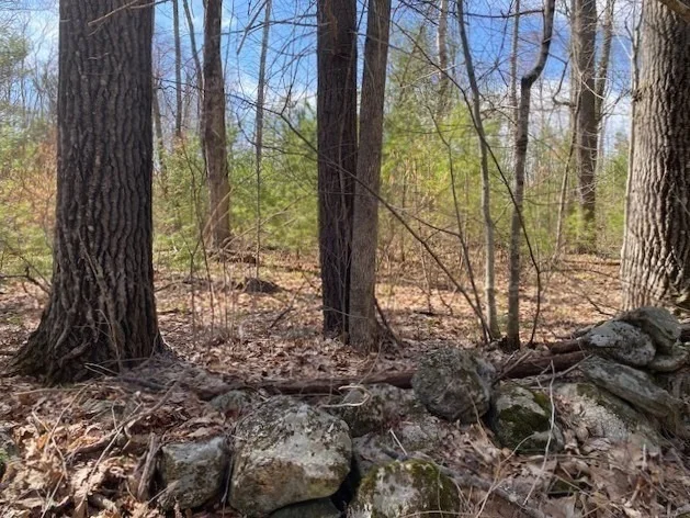 Photo of 6-L New Athol Rd