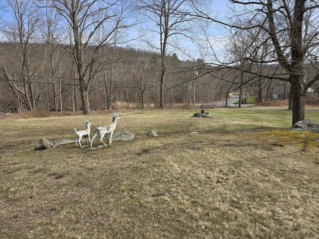 Photo of 205 Hardwick Rd