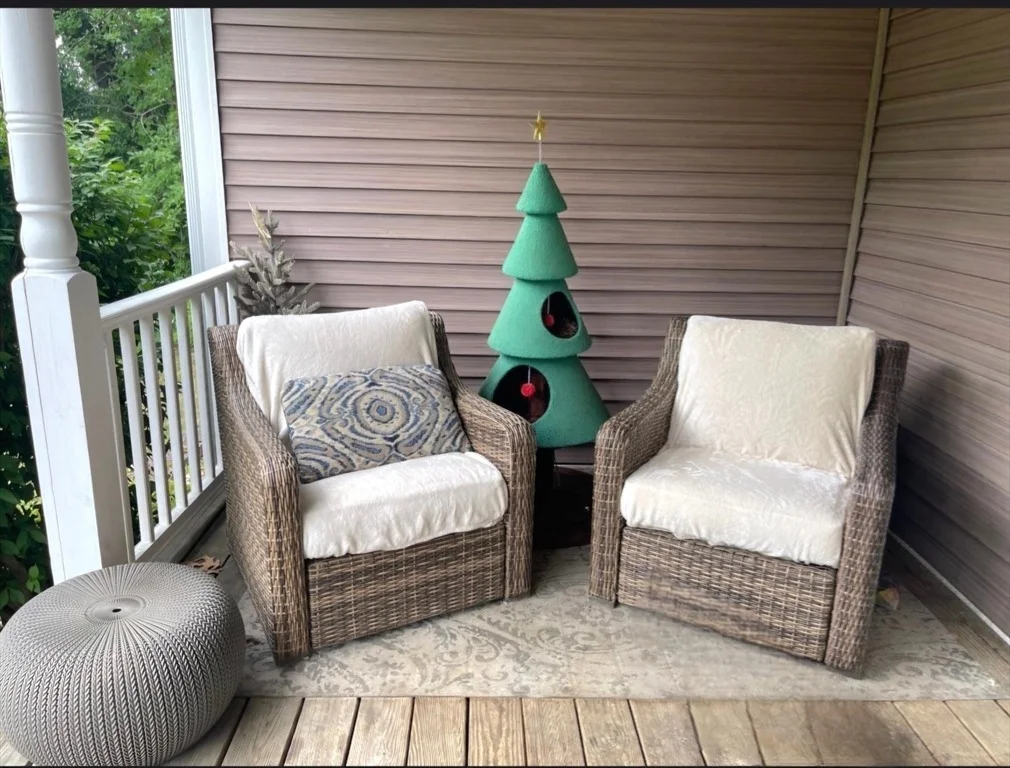 Photo of 25 Robbins Ave