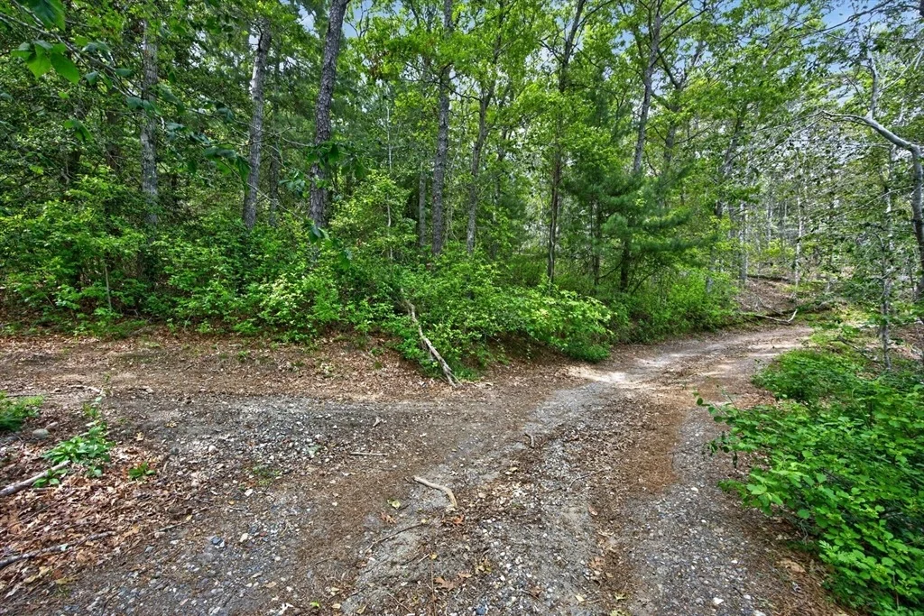 Photo of 20 Hirsch