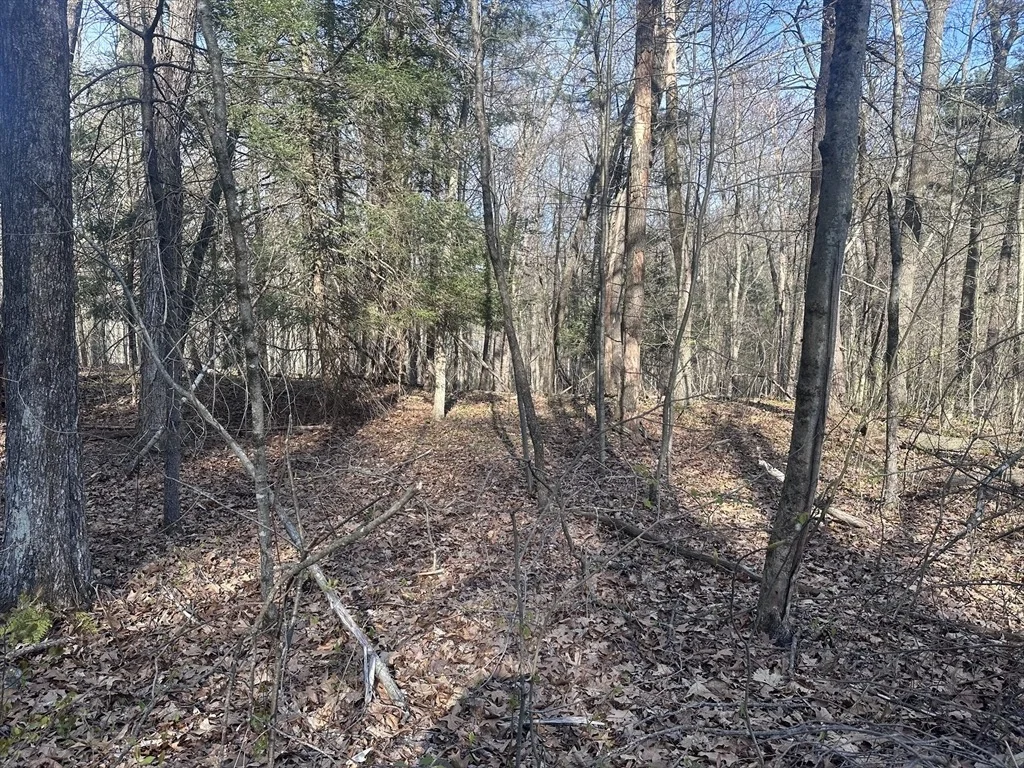 Photo of 0 Cutler Road