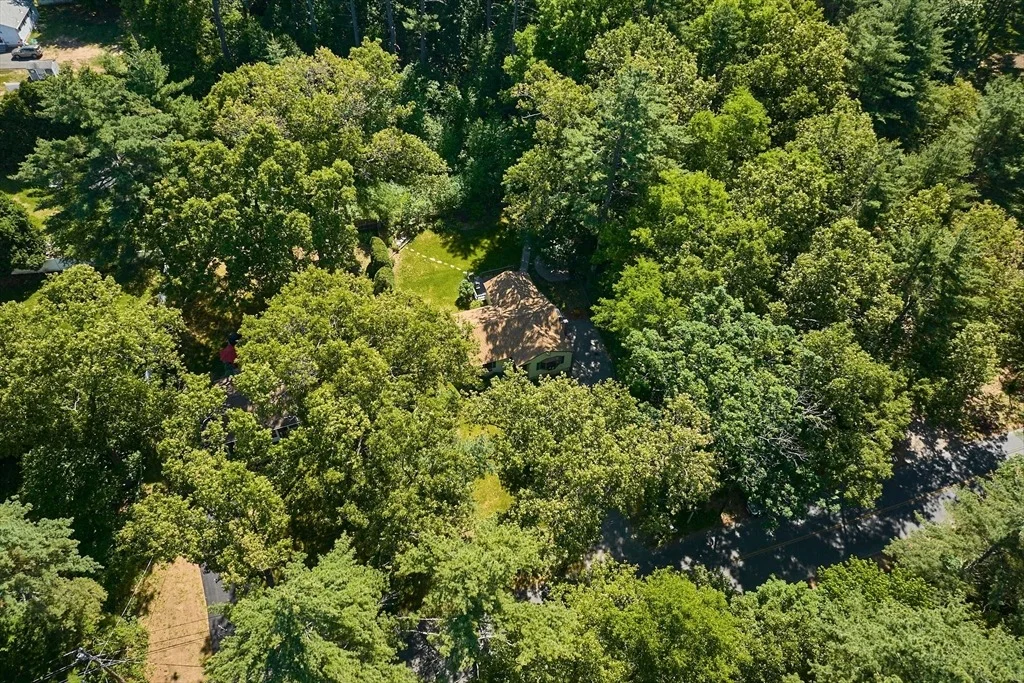 Photo of 20 Cook Rd