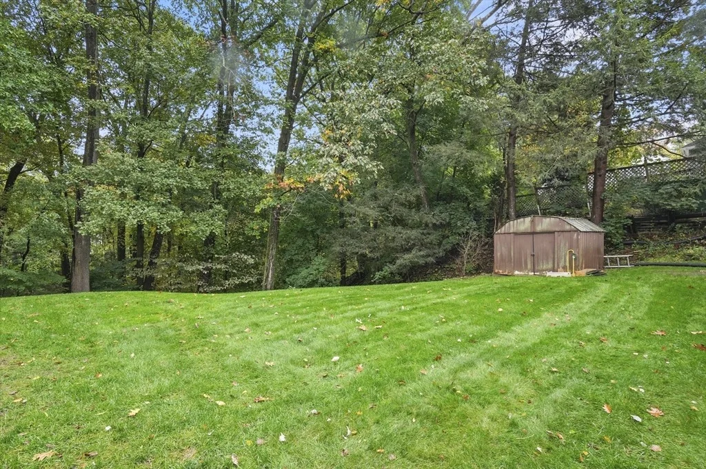 Photo of 31 Craig Street