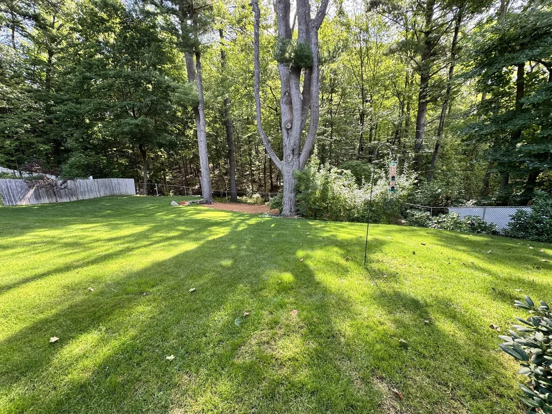 Photo of 56 Valleyview Rd