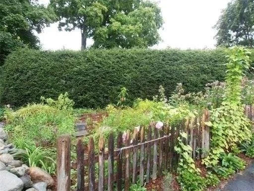 Photo of 4 Meadow Ln