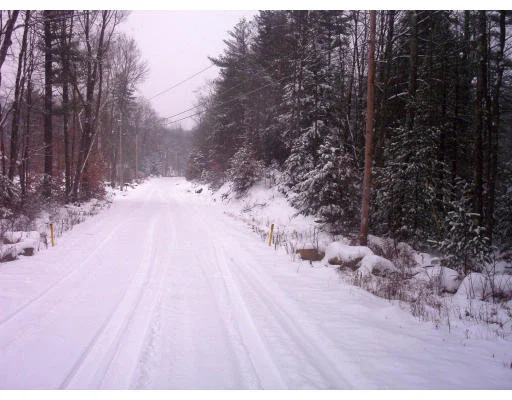 Photo of Lot 1 Williamsville Rd