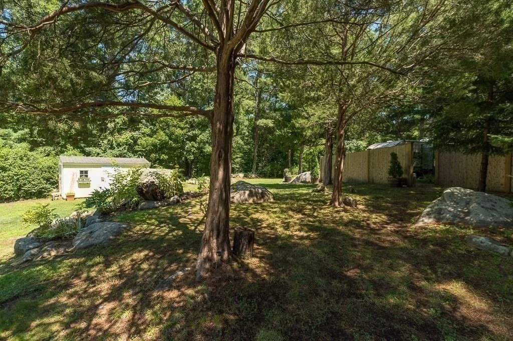 Photo of 15 Saville Road