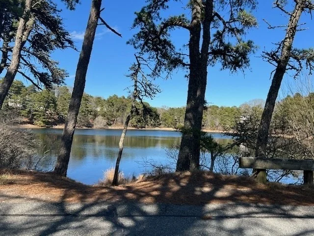 Photo of 307 Riverview Dr