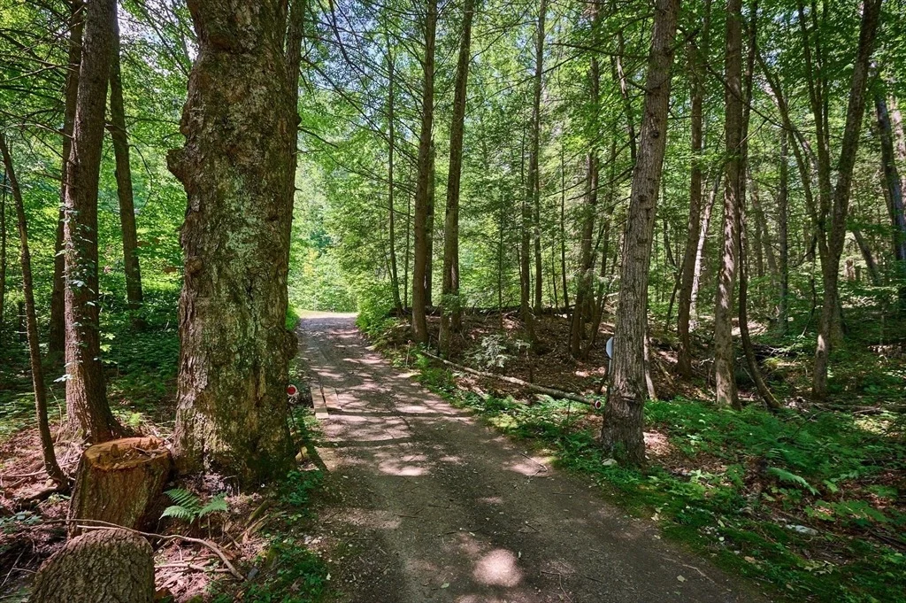 Photo of 66 Reils Lane