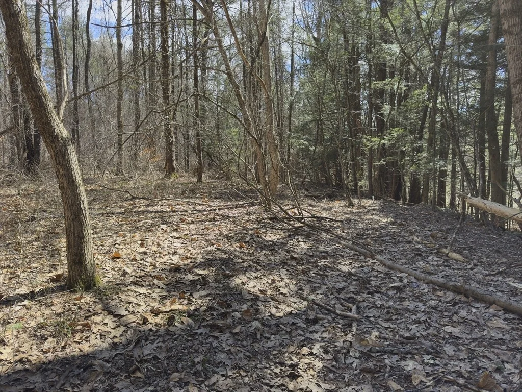 Photo of 151 Ashfield Road