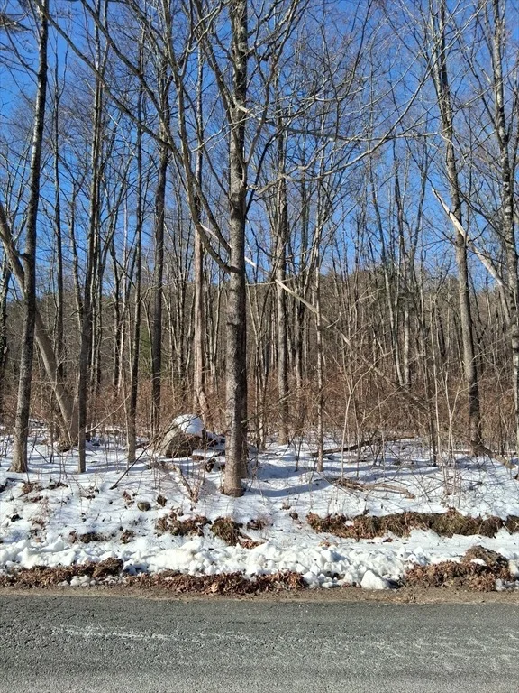 Photo of 17 Maple St