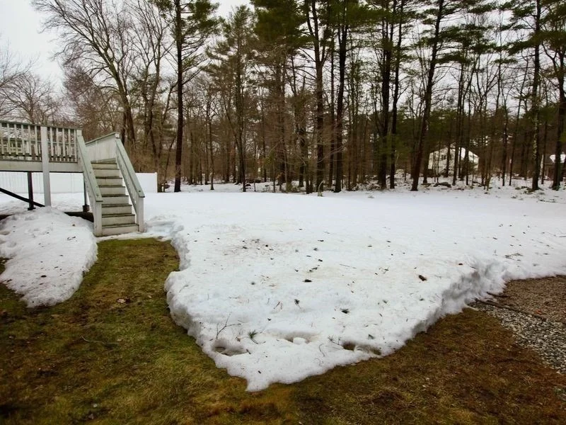 Photo of 54 Ann Street