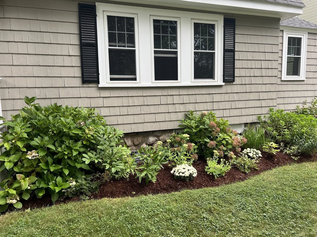 Photo of 24 Thorndike Street