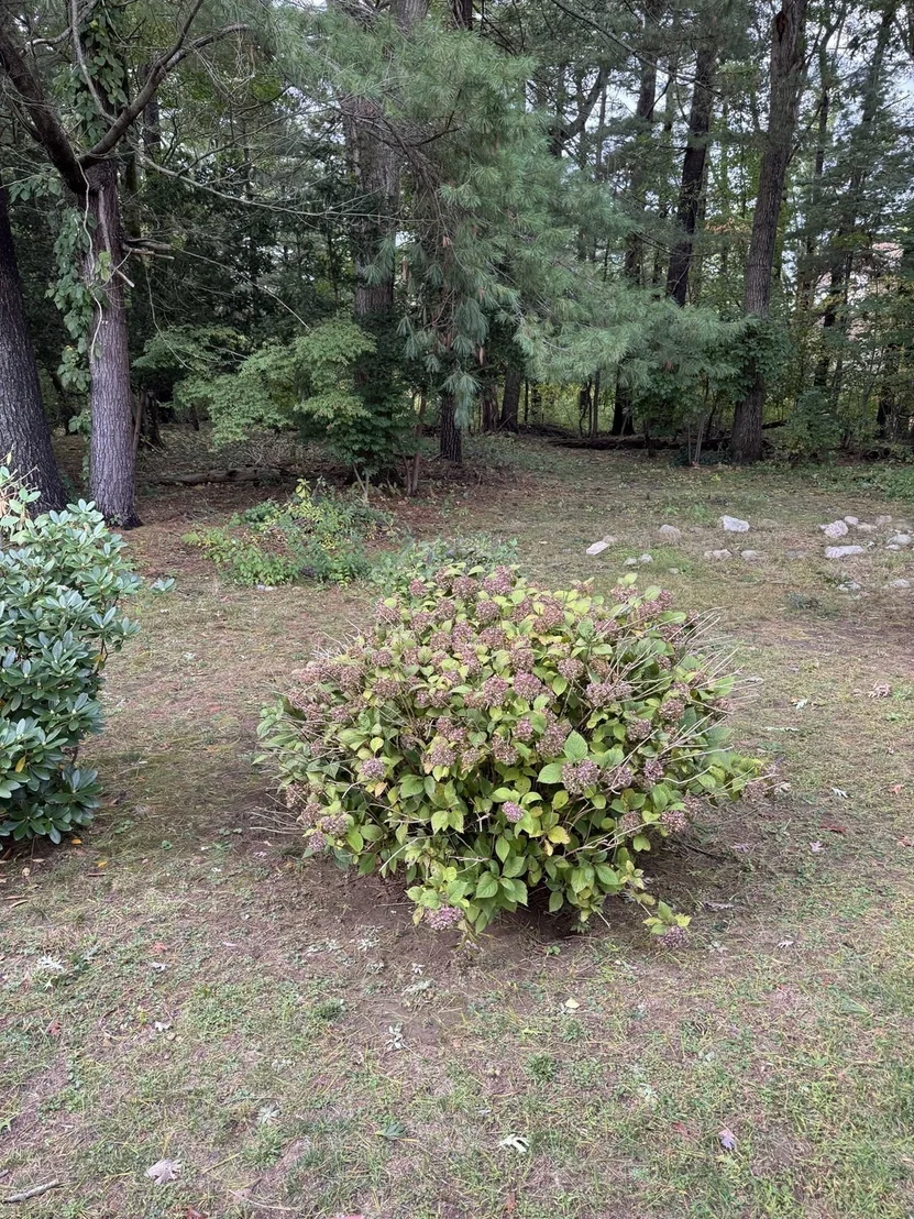 Photo of 9 Joal Ave