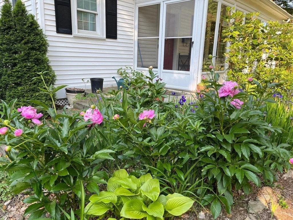 Photo of 21 Howe St