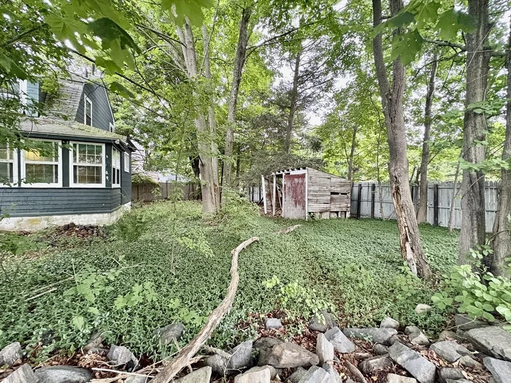 Photo of 51 Damon Street