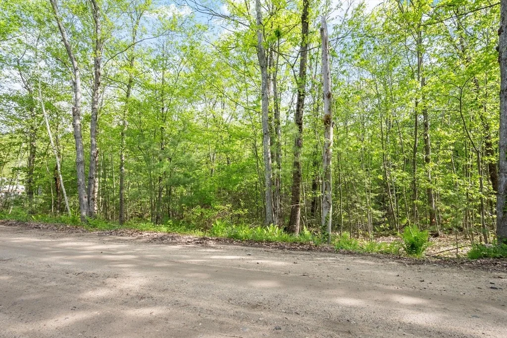 Photo of 0 Whitney Rd